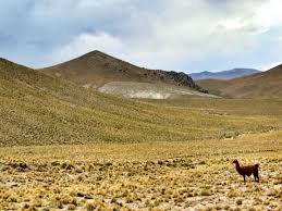 From west to east, the border goes from the altiplano to extend to the chaco flat through the tropical. Bolivia Border Control That Time I Went To Argentina For Absolutely No Reason