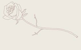 How to draw a rose with stem easy drawing guides would you like to draw a beautiful flower doing so is simple with this drawing tutorial by following the pictures of roses to draw awesome drawn vase red rose 3h vases how from drawing of a rose stem imagen de rose art and flowers tats pinterest. How To Draw A Rose A Step By Step Guide 2020 Updated Thought Catalog