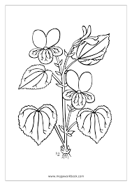 Plant coloring pages for preschoolers. Flower Coloring Pages Plant Tree Coloring Pages Leaf Coloring Pages Free Printables Coloring Sheets Megaworkbook