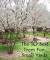 Dwarf Trees For Front Yard