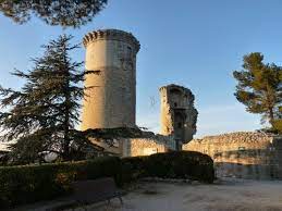 passion jardin chateaurenard paysagiste amenagement et entretien de jardin