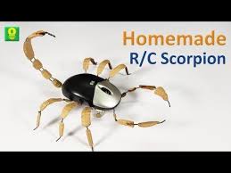 Do ultrasonic mouse repeller work? How To Make Remote Control Scorpion Remote Control Toys Are One Of The Most Common Toys Available I Afterschool Activities Remote Control Toys Easy Activities