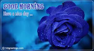 This collection to be an inspiring morning quotes or wishes of good morning messages for friends with beautiful images, funny memes, love pictures to share your best friends. Good Morning Messages Best Good Morning Wishes 143 Greetings