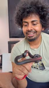 Kalyani’s enclosure upgrade 🐍, P.S ignore my wife chela chela, ., ., .,  #canada #snake