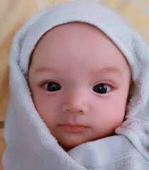 NURUSH SHOFA FI AKHBARIL MUSHTOFA "