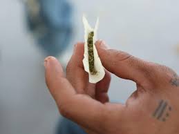 Marihuana En Mexico Desventajas Y Beneficios De Su Consumo El Informador