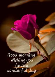 Maybe you would like to learn more about one of these? á… Top 55 Good Morning Images With Flowers Hd Pictures