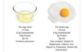 Sebutir telur rebus ukuran besar mengandung 78 kalori, 6,29 gram protein, 25 mg kalsium, 0,59 besi, dan 112,7 mcg kolin. Makan Telur Baiknya Putihnya Saja Atau Keseluruhan Ini Jawabannya