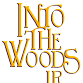 Into the Woods JR – Fairview Youth Theatre, Mainstage event image