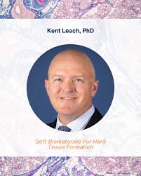 The 2025 SWSOMS Annual Meeting in Collaboration with Osteo Science  Foundation commences this week! We hope to see you there and look forward  to the Keynote Lectures: “Tissue Engineering Approach to Maxillary