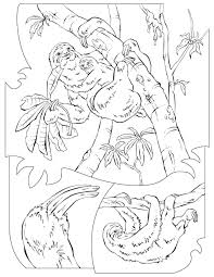 Three Toed Sloth Coloring Thumb Coloring Pages Coloring Books Printable Coloring Book