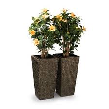 Besonders beeindruckend sind die großen blätter. Blumenkubel Und Ubertopfe Aus Wasserhyazinthe