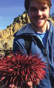 A MESSAGE FROM THE CHAIR OF THE DEPARTMENT IMPORTANT DATES