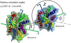 Check spelling or type a new query. Closely Related Yet Unique Distinct Homo And Heterodimerization Patterns Of G Protein Coupled Chemokine Receptors And Their Fine Tuning By Cholesterol