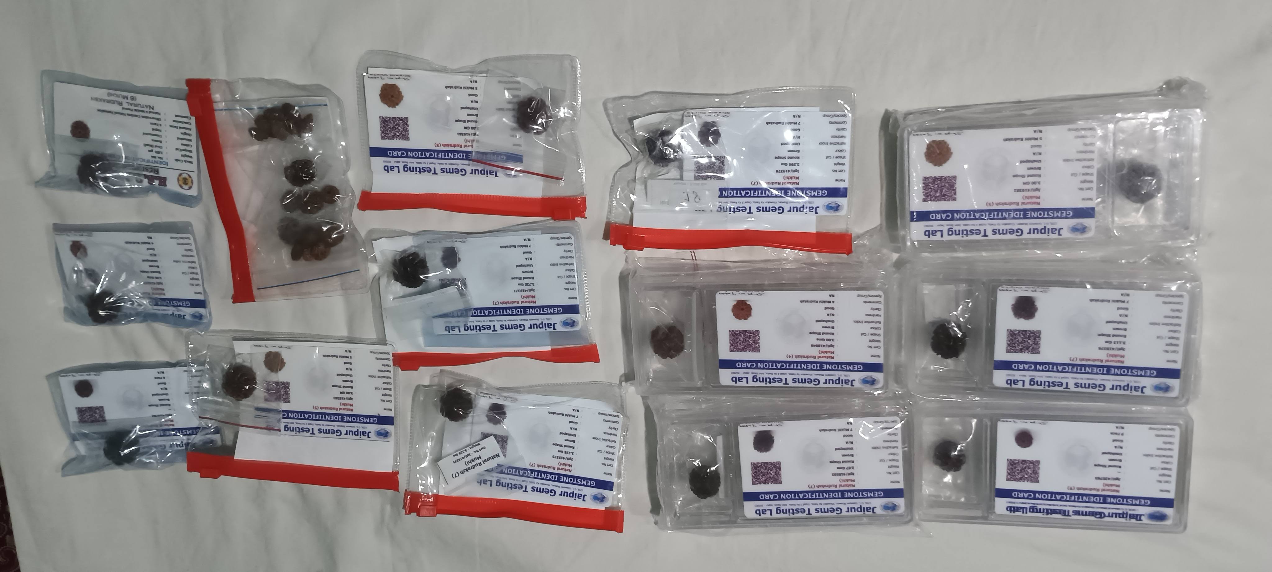 Rudraksha product image