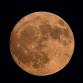 Moonlit WildSpa — Westerlands event image