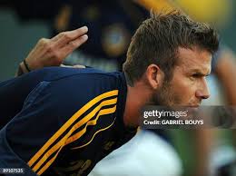 37 Streche Stock Photos, High-Res Pictures, and Images