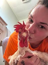 Meet Betty and Polly ❤️✨ I got these gorgeous girls yesterday and already  today they left me 2 lovely eggs 🥚🐓❤️