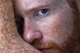 Noah Lebovitz (@noahlebovitz) • Instagram photos and videos