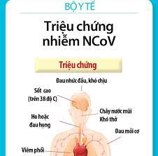 Jun 15, 2021 · ngay cả những người chưa từng có triệu chứng khi bị nhiễm bệnh cũng có thể gặp phải các vấn đề sức khỏe kéo dài này. Bai Viáº¿t Chi Tiáº¿t