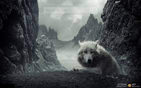 Find hd wallpapers for your desktop, mac, windows, apple, iphone or android device. Wolf Wallpaper Hd Custom New Tab Microsoft Edge Addons