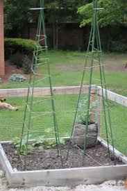 Lay all of the poles evenly on the ground. Easy Diy Green Bean Teepees The Kitchen Garten