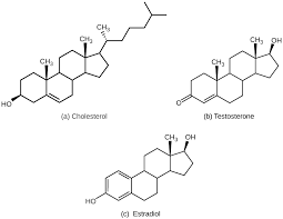 28 1 Types Of Hormones Texas Gateway