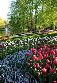 Keukenhof Gardens In Netherlands Most Beautiful Gardens Beautiful Gardens Gardens Of The World