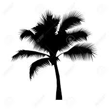 Botanical prints set of 6 black and white, palm leaf print set, set of 6 prints, download wall art prints, printable, living room wall decor paintxprint. Palm Tree Art Black And White Art Gallery