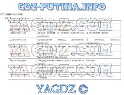 учебник по биологии 9 класс пасечник фгос скачать бесплатно Gdz Po Biologii 9 Klass Rabochaya Tetrad Pasechnik Shvecov