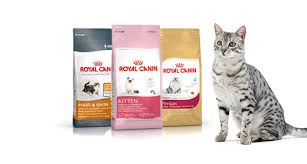 Royal Canin Kedi Mamasi Fiyatlari Kopek Mamalari Sitesi Istanbul