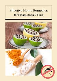 Chemical Free Ways To Get Rid Of Flies Home Remedies For Mosquito Home Remedies For Flies Home Remedies