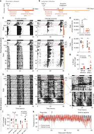 Cactus feeders is passionate about finding ways to produce more food, while using fewer resources at a lower cost. Sleeping Sickness Is A Circadian Disorder Nature Communications