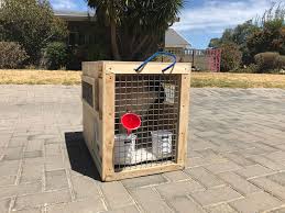 Another important factor when determining the cost of flying your. Global Paws Wooden Or Plastic Pet Travel Crates Pet Travel Service