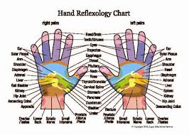 reflexology hand and foot chart new 8 x 11