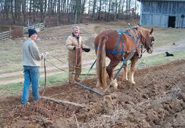 نتیجه جستجوی لغت [workhorses] در گوگل