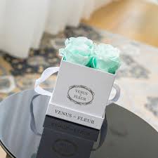 Full of vibrant color, a venus et fleur rose arrangement can last up to an entire year, making this floral delivery continue to thrill and red : Venus Et Fleur Mint Green Roses Symbolize Calm Renewal Facebook