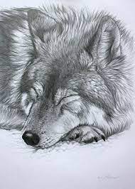 Pin On Art Drawings Sketches Pencil