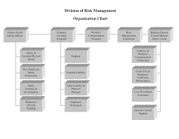 Risk Management Organizational Chart Templates At