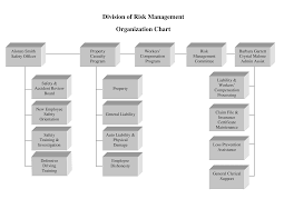 risk management organizational chart templates at