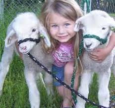 We did not find results for: Petting Zoo Birthday Party