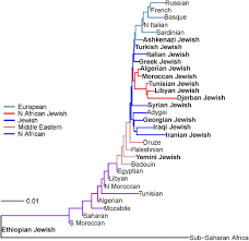 Judean is a boy name, meaning a person loyal to the king of judea in jamaican origin. The Population Genetics Of The Jewish People Springerlink