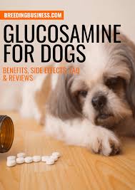 My dog gets them daily here's what i've learned about chondroitin & glucosamine for dogs. Glucosamine For Dogs Benefits Side Effects Faq Reviews