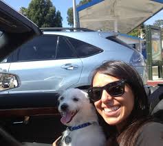 This little guy is 14 today!!! Happy Birthday Bean!! We love you, you  little old man! ❤️🐶🐾 (we owe you a birthday treat…that's probs why he  didn't smile 🤣)