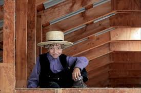 Up In The Barn Rafters Amish Amish Country Barn