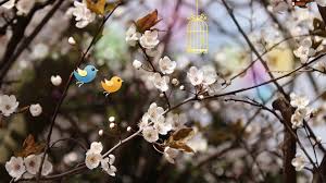 See more ideas about desktop wallpaper, laptop wallpaper, dress your tech. Black Cute Wallpaper Hd For Laptop Novocom Top