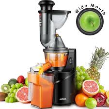 Top 10 Best Cold Press Juicers Reviews Buying Guide 2019 Best Masticating Juicer Juicer Machine Fruit And Vegetable Juicer