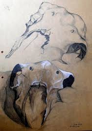 International Gcse Art Sketchbook Examples Gcse Art Sketchbook Natural Form Art Animal Art