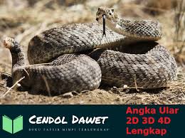 Nomor Ular Di Buku Mimpi Erek Erek Dan Kode Alam Cendol Dawet