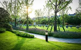 Outdoor Space: Benefits of Professional Landscaping Company